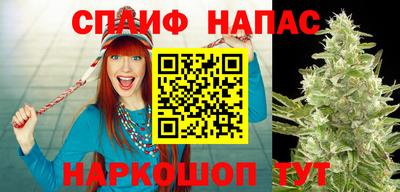 прущие крисы Гатчина