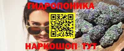 прущие крисы Гатчина