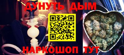 прущие крисы Гатчина
