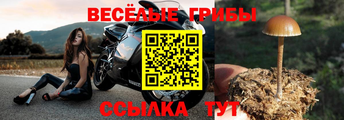 Псилоцибиновые грибы мухоморы  Вход с VPN  где можно купить   Можайск 